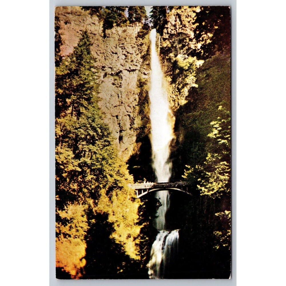 Vintage Multnomah Falls Oregon Postcard Mike Roberts Color Card C350 Unposted